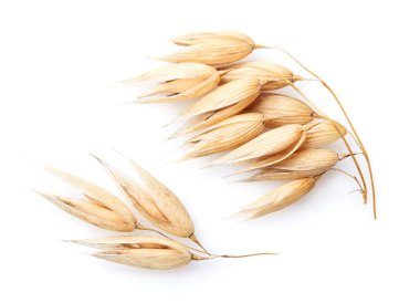 Yulaf ani artış portre