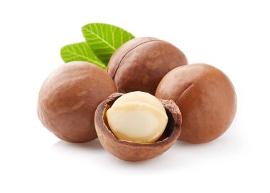 Macadamia nuts in closeup with leaf clipart