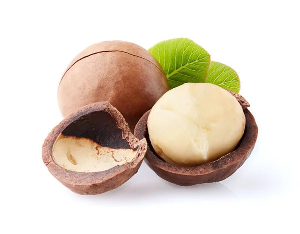 Nueces de macadamia con hojas — Foto de Stock