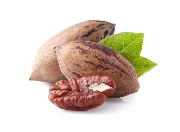 Pecan nuts with leaves — Stock Photo, Image