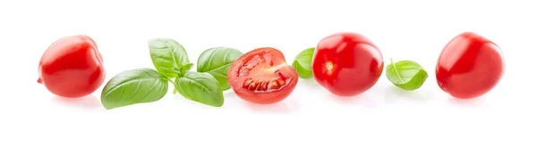 Basil leaves with tomato — Stock Photo, Image