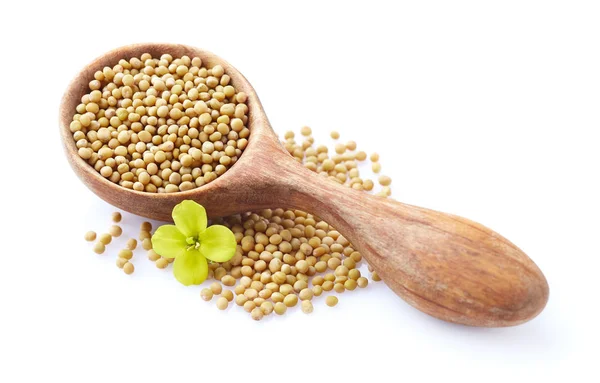 Yellow mustard seeds in the  wooden spoon on white — Stock Photo, Image