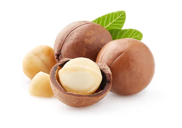 Macadamia with kernel nuts in closeup — Stock Photo, Image