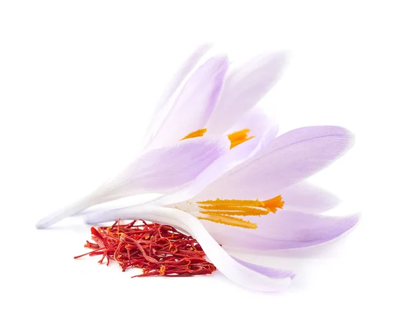 Saffron Spice Flowers Leaves White — Stock Photo, Image