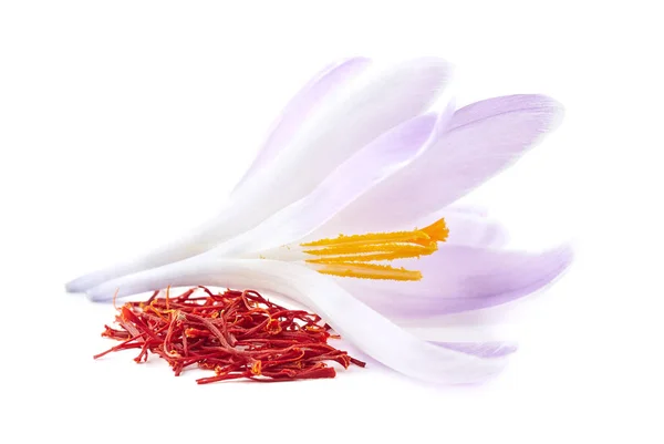 Saffron Flore Spice Close Seup — стоковое фото