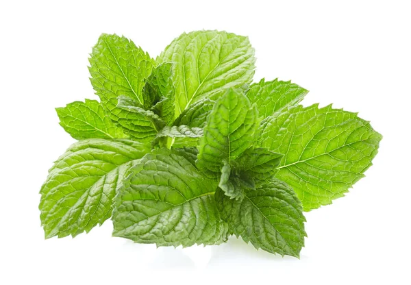 Mint Leaves Closeup Royalty Free Stock Photos