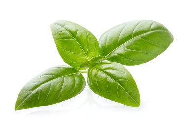 Beyaz üzerinde yakın çekim fesleğen