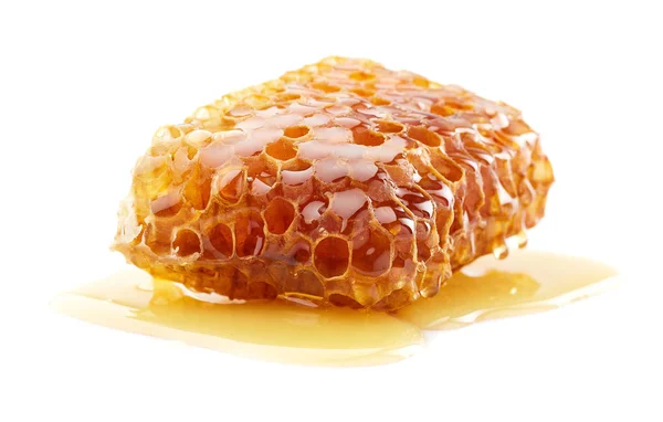 Медонос з натуральним медом на білому тлі — стокове фото