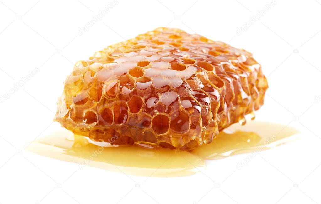 Honeycomb with natural honey on white background