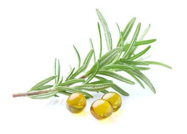 Rosemary plant with oil capsules — ストック写真