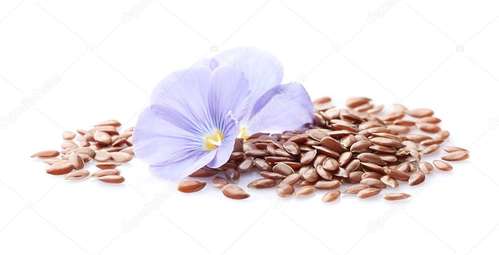 Flax seeds in closeup on white