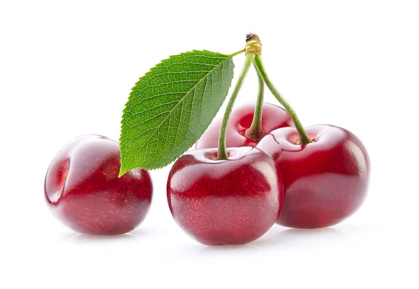 Sweet Cherry Leaves White Background — Stock Photo, Image
