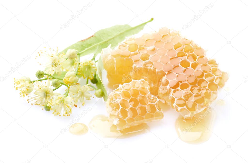 Linden flowers with honeycomb in white background