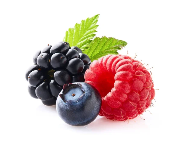 Beeren Nahaufnahme Auf Weißem Hintergrund — Stockfoto