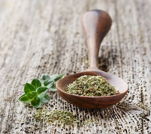 Oregano plant on wooden background