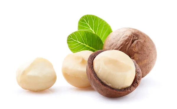 Macadamia Nüsse Mit Blättern Auf Weißem Hintergrund — Stockfoto