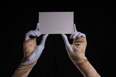 Klasik fotoğraf objeleri, kamera, film ve ışık ölçer seti 