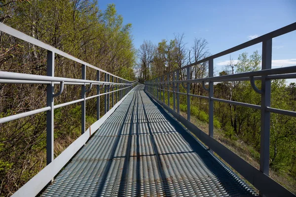 diminishing perspective view of Metal pedestrian bridge passing through forest