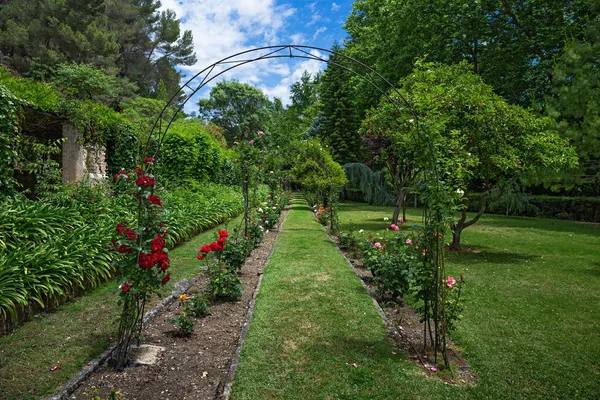 Flower alley in the garden, Mallorca