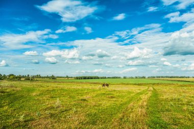 Görünüm alanı ve gökyüzü kırsal görünümü