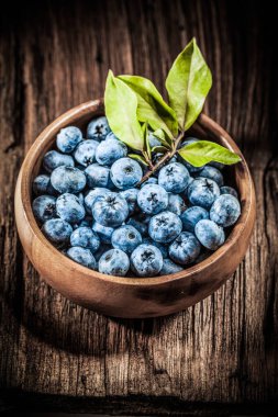 Yuvarlak ahşap kase dikey görüntü bilberries.
