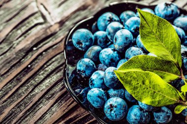 Vintage plaka üzerinde taze bilberries.