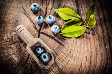 Vintage grunge tahta kaşık içinde tatlı bilberries.