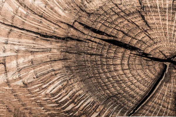 Vintage Brun Naturlig Trä Textur — Stockfoto