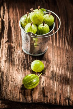 Bektaşi eski ahşap tahta kova içinde