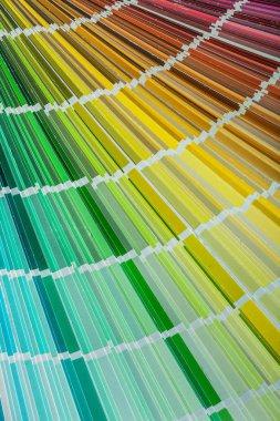 Renk örnekleyici üstten görünüm çok renkli.