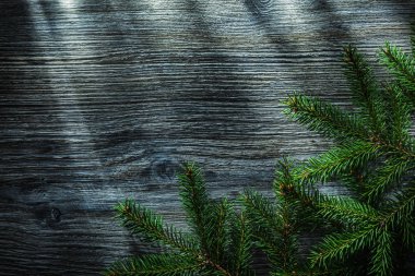 Yeşil çam ağacı dalları ahşap tahta üzerinde.