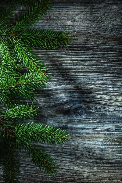 Pine Tree Twig Wooden Board — Stock Photo, Image