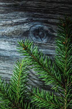Ladin ağacı dalı vintage ahşap tahta üzerinde.
