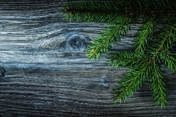 Rama Árbol Coníferas Sobre Tabla Madera —  Fotos de Stock