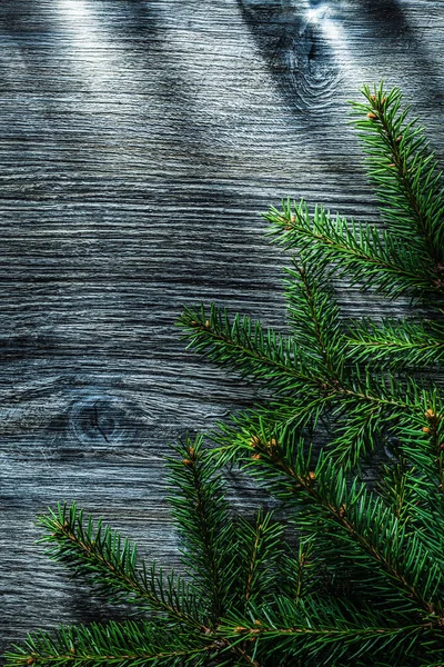 Ramas Pino Verde Sobre Tabla Madera —  Fotos de Stock