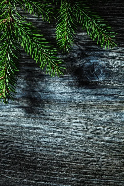Ветка Вечнозеленого Дерева Деревянной Доске — стоковое фото
