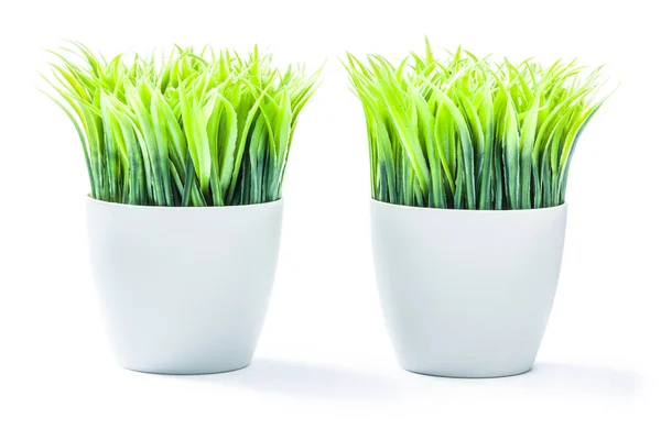 Plantas artificiais plantas plásticas em vasos brancos isolados — Fotografia de Stock