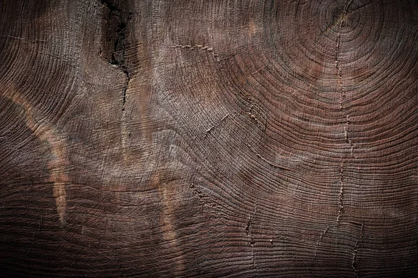 Textura de madeira vintage muito antiga de seção transversal de tronco de árvore — Fotografia de Stock