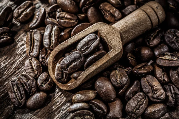 Fresh coffee crops in scoop on wooden board — Stock Photo, Image