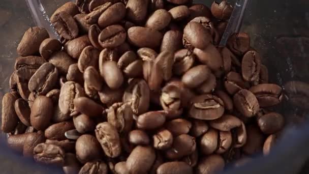 Kavrulmuş Kahve Çekirdekleri Ağır Çekimde Gren Geyiği Kasesine Dökülüyor — Stok video