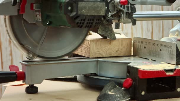 Slow Motion Vue Rapprochée Sur Processus Coupe Poutre Bois Pin — Video