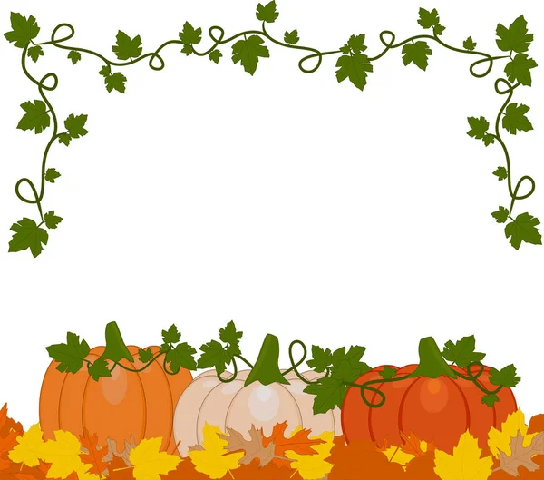 Vektorové Ilustrace Pozadí Oranžové Bílé Dýně Sedí Podzimním Listím Dýně — Stockový vektor