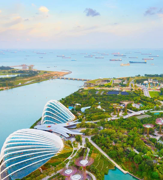 Singapur Února 2107 Letecký Pohled Zahradě Přístavu Zátoky Singapur Zahrada — Stock fotografie