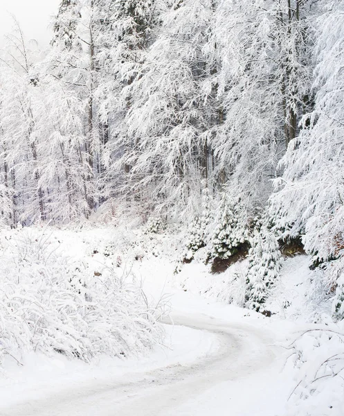 Estrada Inverno Congelada Nas Montanhas Dos Cárpatos Coberta Neve — Fotografia de Stock