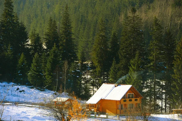 Деревянный Дом Карпатах Зимой Украина — стоковое фото