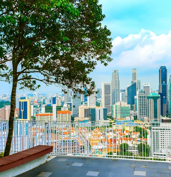Aerial Cityscape Singapore Metropolis Viewpoint Bench Tree Shadow — Stock Photo, Image