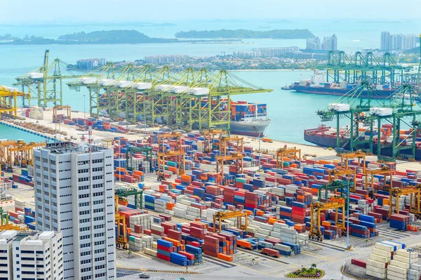 상업적인 항구와 싱가포르 항구의 컨테이너 화물선 부두에서 크레인의 — 스톡 사진