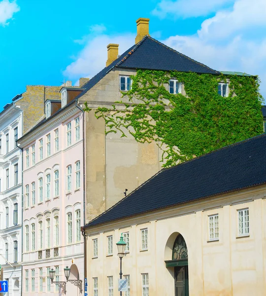 Une Ancienne Architecture Copenhague Avec Vigne Sur Mur Danemark — Photo