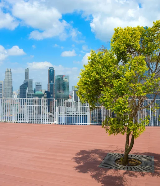 Drzewa Dachu Wieżowca Singapurze — Zdjęcie stockowe