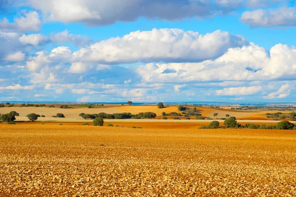 Пейзаж Полями Холмами Закате Испания — стоковое фото